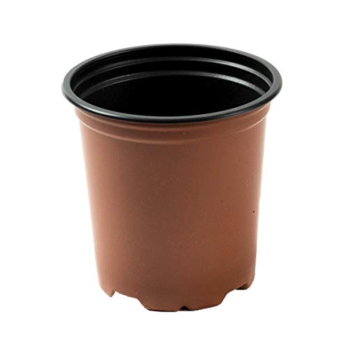 Nutley's Modiform Plastic Plant Pot (Pack of 100)