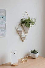 Load image into Gallery viewer, Umbra Trigg Hanging Planter Vase &amp; Geometric Wall Decor Container - Great For Succulent Plants, Air Plant, Mini Cactus, Faux Plants and More, White Ceramic/Brass
