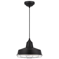 Westinghouse Lighting 6401000 Academy One-Light LED Indoor Pendant, Black Finish with Chrome Cage