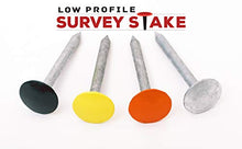 Load image into Gallery viewer, Survey Stake - Low Profile Survey Marker (Plain)
