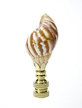 Load image into Gallery viewer, Snail Sea Shell Lamp Finial with Polished Brass Base 3.25&quot;h
