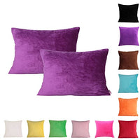 Queenie - 2 Pcs Solid Color Chenille Decorative Pillowcase Cushion Cover for Sofa Throw Pillow Case Available in 11 Colors & 6 Sizes (14 x 20 inch (35 x 50 cm), Purple)