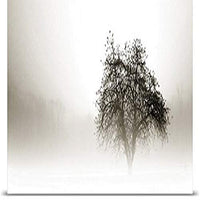 GREATBIGCANVAS Entitled in The Mist I Poster Print, 90