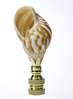 Snail Sea Shell Lamp Finial with Polished Brass Base 3.25