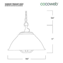 Load image into Gallery viewer, Cocoweb Sunbury Ceiling Pendant Light with Cage | LED Light Bulb Included (Black)
