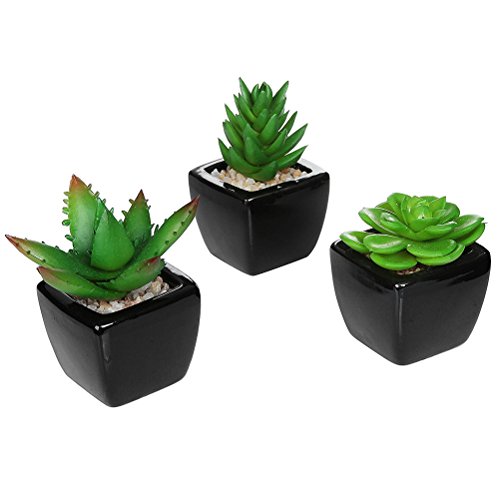 WINOMO 3pcs Artificial Potted Succulent Plants Mini Faux Planter with Black Ceramic Pots