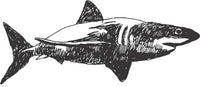 Decals - Shark Fish Ocean Sea Water Swimming Animal Boy Girl Children Kids Kitchen Home Decor Image Graphic Mural Design Decoration Size 22 Inches X 60 Inches - Vinyl Wall Sticker
