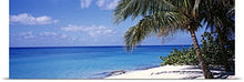 Load image into Gallery viewer, GREATBIGCANVAS Entitled Palm Tree on The Beach, Seven Mile Beach, Grand Cayman, Cayman Islands Poster Print, 90&quot; x 28&quot;, Multicolor
