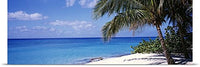 GREATBIGCANVAS Entitled Palm Tree on The Beach, Seven Mile Beach, Grand Cayman, Cayman Islands Poster Print, 90