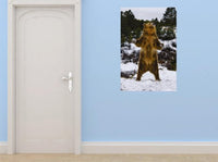 Decals - Grizzly Winter Woods Wild Animal Bear Bedroom Bathroom Living Room Picture Art Mural - Size 24 Inches X 48 Inches - Vinyl Wall Sticker - 22 Colors Available