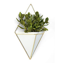 Load image into Gallery viewer, Umbra Trigg Hanging Planter Vase &amp; Geometric Wall Decor Container - Great For Succulent Plants, Air Plant, Mini Cactus, Faux Plants and More, White Ceramic/Brass
