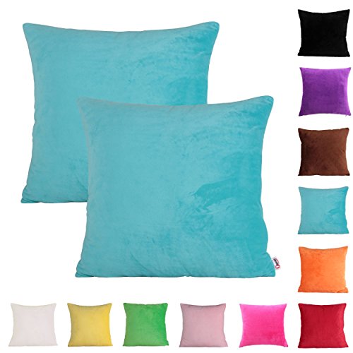 Queenie - 2 Pcs Solid Color Chenille Decorative Pillowcase Cushion Cover for Sofa Throw Pillow Case Available in 11 Colors & 6 Sizes (22 x 22 inch (55 x 55 cm), Sky Blue)