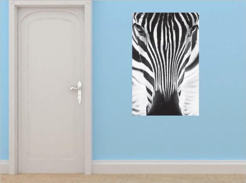 Decals - Zebra Print Animal Face Bedroom Bathroom Living Room Picture Art Mural Size 24 Inches X 48 Inches - Vinyl Wall Sticker - 22 Colors Available