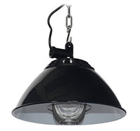 Cocoweb Sunbury Ceiling Pendant Light with Cage | LED Light Bulb Included (Black)