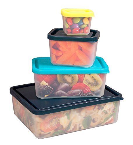 Portion Control Lunch Containers   Reusable Meal Prep Containers, No Bpa   Set Of 4 (Beach/Multicolo
