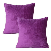 Load image into Gallery viewer, Queenie - 2 Pcs Solid Color Chenille Decorative Pillowcase Cushion Cover for Sofa Throw Pillow Case Available in 11 Colors &amp; 6 Sizes (16 x 16 inch (40 x 40 cm), Purple)
