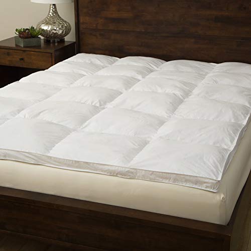 Grandeur Collection 233 Thread Count Cotton Fiber Bed by Solid White Cal King