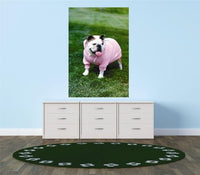 Decals - Bulldog Wearing Pink Sweater Outfit Bedroom Bathroom Living Room Picture Art Mural - Size 24 Inches X 48 Inches - Vinyl Wall Sticker - 22 Colors Available