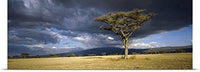 GREATBIGCANVAS Entitled Storm Clouds Over a Landscape, Tanzania Poster Print, 90