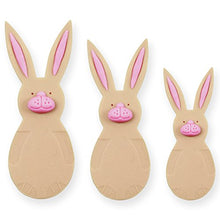 Load image into Gallery viewer, PME Rabbit Plunger Cutters, Small, Medium, Large Sizes, Set of 3
