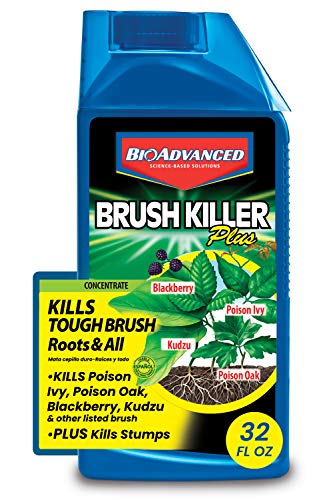 BIOADVANCED 704640B 704640 Brush Killer, 32-Ounce, Concentrate