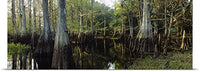 GREATBIGCANVAS Entitled Reflection of Trees in Water, Fisheating Creek, Everglades, Palmdale, Florida Poster Print, 90