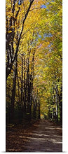 Load image into Gallery viewer, GREATBIGCANVAS Entitled Dirt Road Passing Through a Forest, Sleeping Bear Dunes National Lakeshore, Empire, Michigan Poster Print, 30&quot; x 90&quot;, Multicolor
