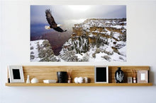 Load image into Gallery viewer, Decals - Beautiful Outdoor Scene Mountains Flying Bald Eagle Wild Bird Bedroom Bathroom Living Room Picture Art Mural - Size 24 Inches X 48 Inches - Vinyl Wall Sticker - 22 Colors Available
