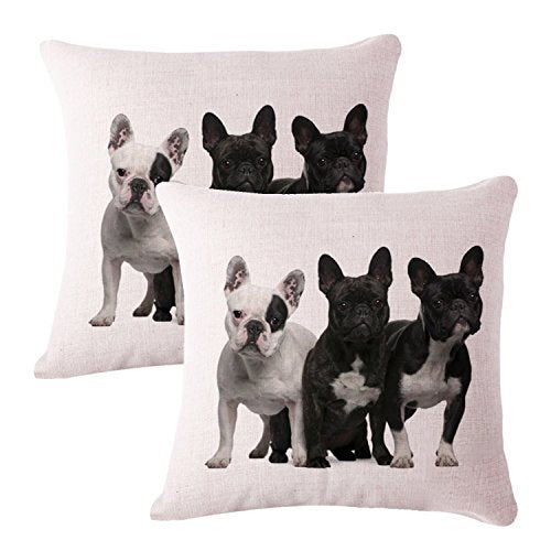 Queenie - 2 Pc Dog Breed Decorative Pillowcase Cushion Cover for Sofa Throw Pillow Case 18 X 18 Inch 45 X 45 cm, Set of 2 (3 Bull Dogs)