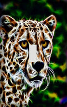 Load image into Gallery viewer, Cheetah Illumination Switchplate - Switch Plate Cover
