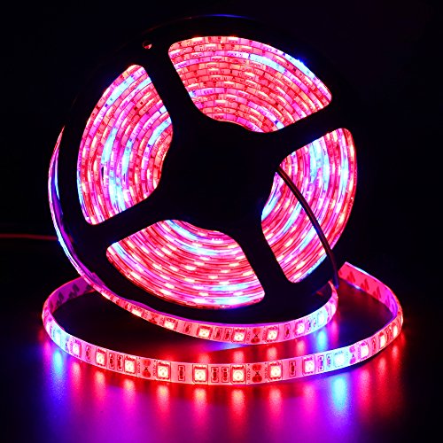 Xunata 16.4ft LED Plant Grow Strip Light, SMD 5050 Non-Waterproof Full Spectrum Red Blue 8:1 Rope Strip Grow Light for Greenhouse Hydroponic Plant, 12V (Non-Waterproof IP21, 8 Red:1 Blue)