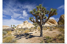 Load image into Gallery viewer, GREATBIGCANVAS Entitled Joshua Tree with Shadow Poster Print, 60&quot; x 40&quot;, Multicolor
