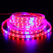Load image into Gallery viewer, Xunata 16.4ft LED Plant Grow Strip Light, SMD 5050 Non-Waterproof Full Spectrum Red Blue 4:1 Rope Strip Grow Light for Greenhouse Hydroponic Plant, 12V (Non-Waterproof IP21, 4 Red:1 Blue)
