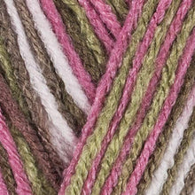 Load image into Gallery viewer, Red Heart  Super Saver Economy Yarn, Pink Camo
