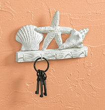 Load image into Gallery viewer, Park Designs Shells Key Hook
