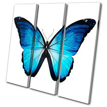Load image into Gallery viewer, Bold Bloc Design - Animals Morpho Butterfly Blue - 120x120cm Canvas Art Print Box Framed Picture Wall Hanging - Hand Made in The UK - Framed and Ready to Hang

