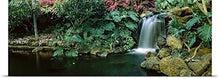 Load image into Gallery viewer, GREATBIGCANVAS Entitled Waterfall in a Forest, Lanai, Maui, Hawaii Poster Print, 90&quot; x 30&quot;, Multicolor
