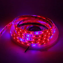 Load image into Gallery viewer, Xunata 16.4ft LED Plant Grow Strip Light, SMD 5050 Non-Waterproof Full Spectrum Red Blue 6:1 Rope Strip Grow Light for Greenhouse Hydroponic Plant, 12V (Non-Waterproof IP21, 7 Red:1 Blue)
