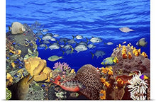 Load image into Gallery viewer, GREATBIGCANVAS Entitled School of Fish Swimming Near a Reef Poster Print, 60&quot; x 40&quot;, Multicolor
