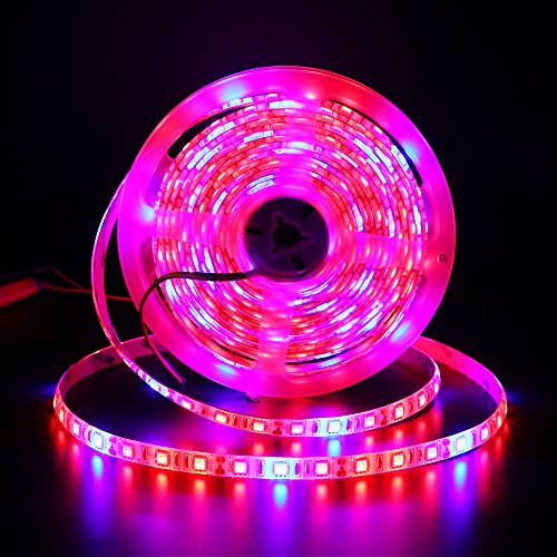 Xunata 16.4ft LED Plant Grow Strip Light, SMD 5050 Waterproof Full Spectrum Red Blue 4:1 Rope Strip Grow Light for Greenhouse Hydroponic Plant, 12V (Waterproof IP65, 4 Red:1 Blue)