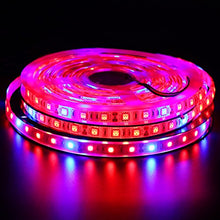 Load image into Gallery viewer, Xunata 16.4ft LED Plant Grow Strip Light, SMD 5050 Waterproof Full Spectrum Red Blue 3:1 Rope Strip Grow Light for Greenhouse Hydroponic Plant, 12V (Waterproof IP65, 3 Red:1 Blue)
