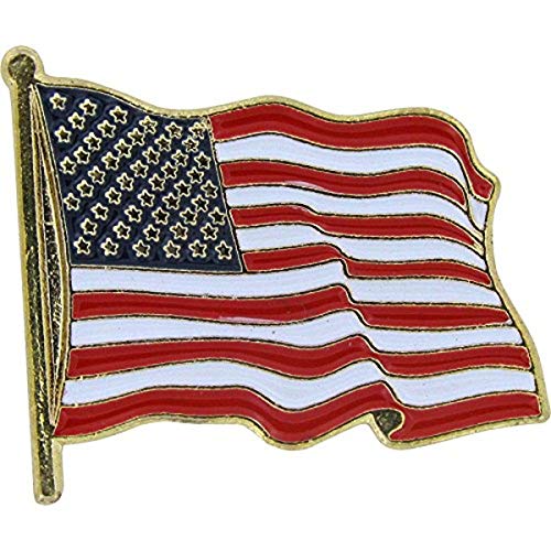 US Flag Store PIUSA1 USA Flag Lapel Standard Pin, Red, White, Blue, Gold