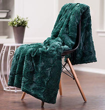 Load image into Gallery viewer, Chanasya Fuzzy Faux Fur Throw Blanket - Soft Wave Embossed Pattern - for Bed Couch Plush Suitable for Fall Winter and Summer (50x65 Inches) Teal Blanket
