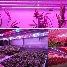 Load image into Gallery viewer, Xunata 16.4ft LED Plant Grow Strip Light, SMD 5050 Waterproof Full Spectrum Red Blue 3:1 Rope Strip Grow Light for Greenhouse Hydroponic Plant, 12V (Waterproof IP65, 3 Red:1 Blue)
