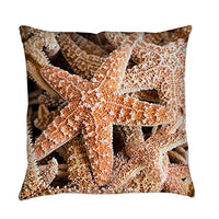 Truly Teague Burlap Suede or Woven Throw Pillow Collection of Starfish - Burlap, 16 Inch
